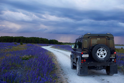 blue skies, purple flowers and an SUV riding on a side road